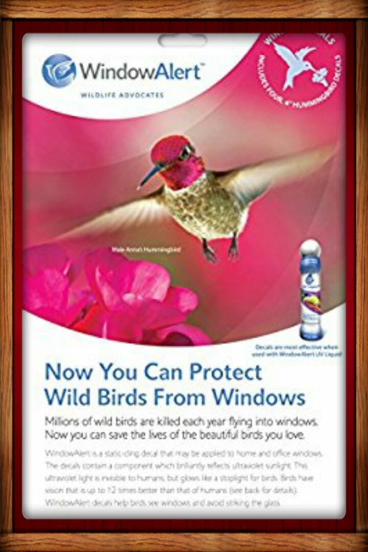 WINDOW ALERT ANTI-COLLISION CLINGS DECALS PREVENT WINDOW STRIKES SAVE BIRDS