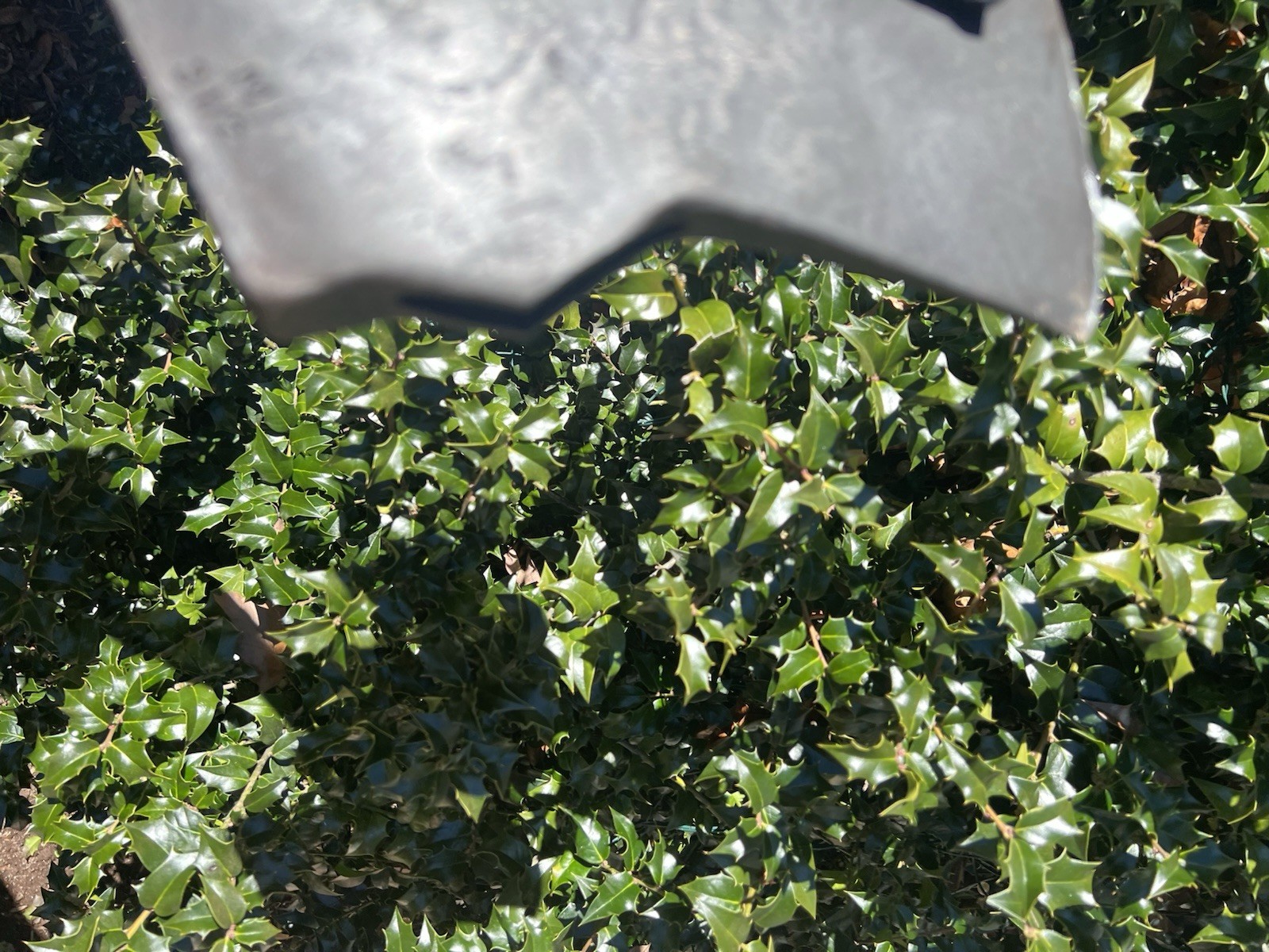 Vintage Mann Edge Tool Single Bit Axe Head Marked "M , 3 1/2." Jersey Pattern