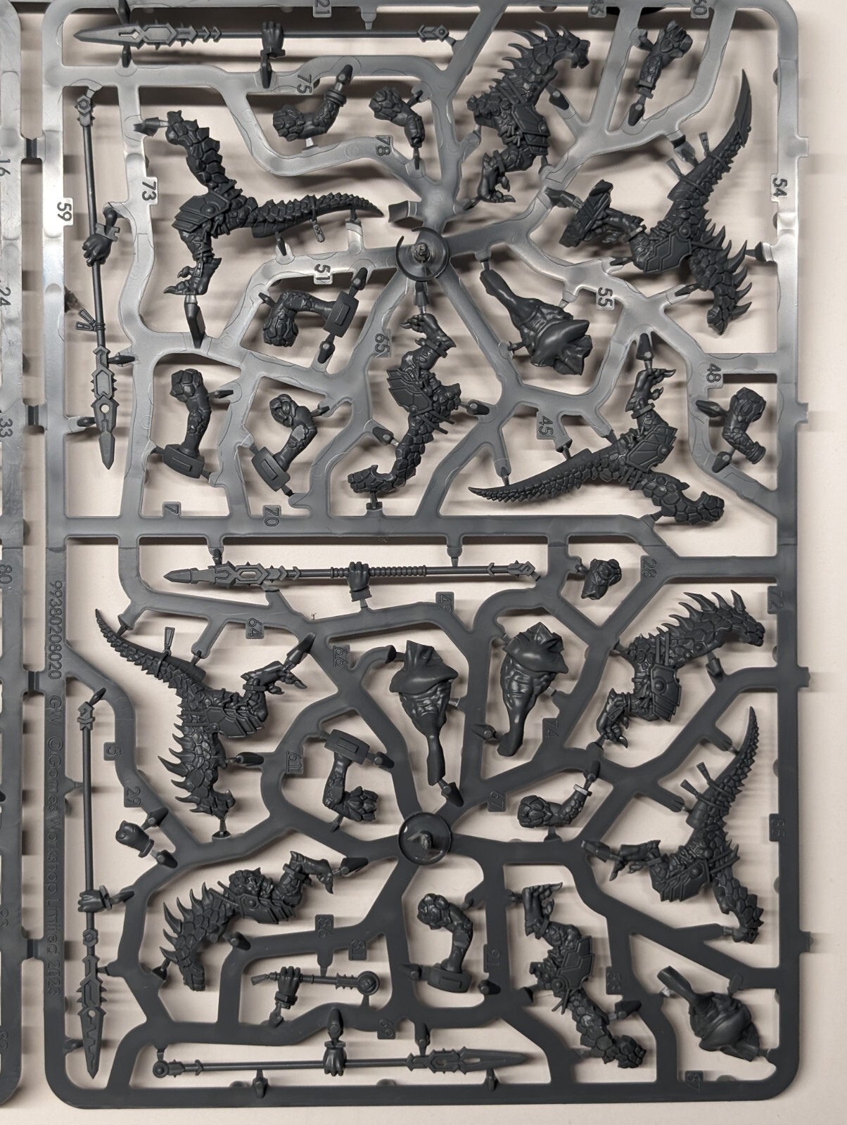 10x Saurus Warriors, Seraphon, New Sculpts, AOS, Warcry, GW