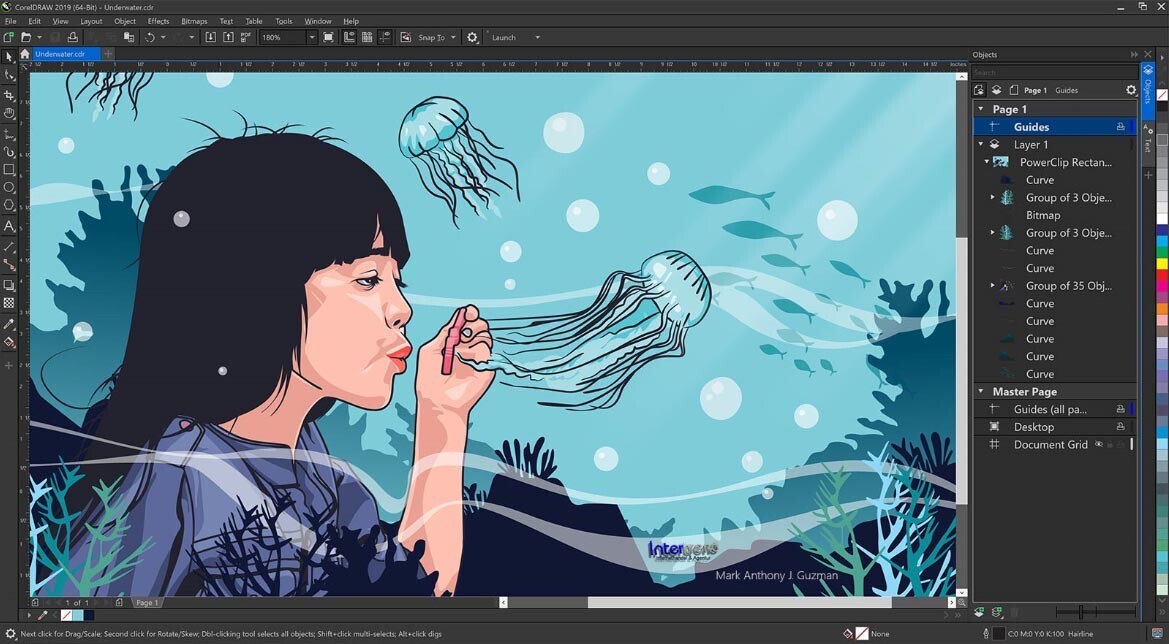 CorelDRAW Graphics Suite 2019 Full Version Windows PKC Permanent License Original Packaging NEW