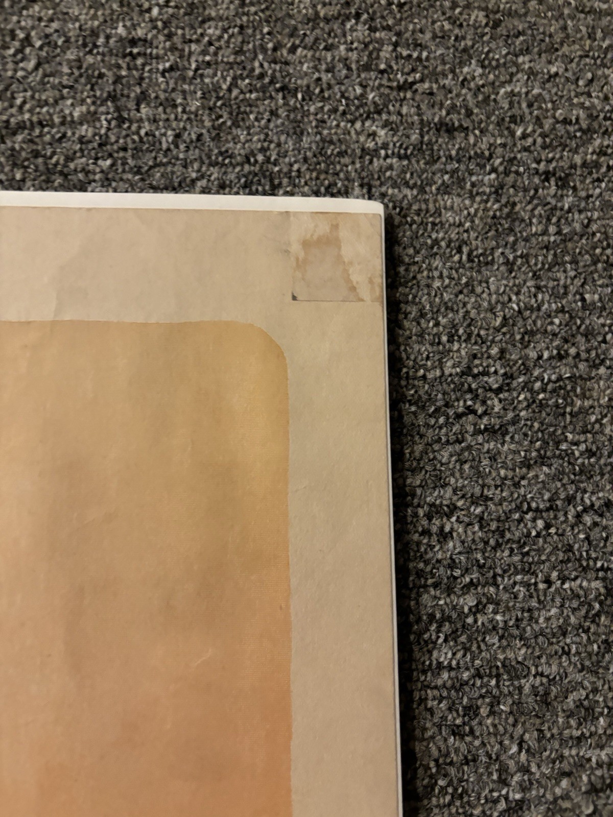 Original WWI Poster Bonds Which? Uncle Sam 14x22”