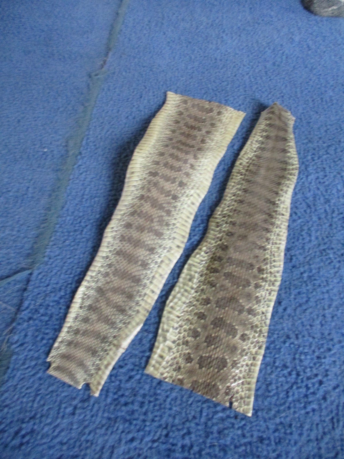 2 rattlesnake skin pieces Snake skin scraps pen blanks small wrap education W2
