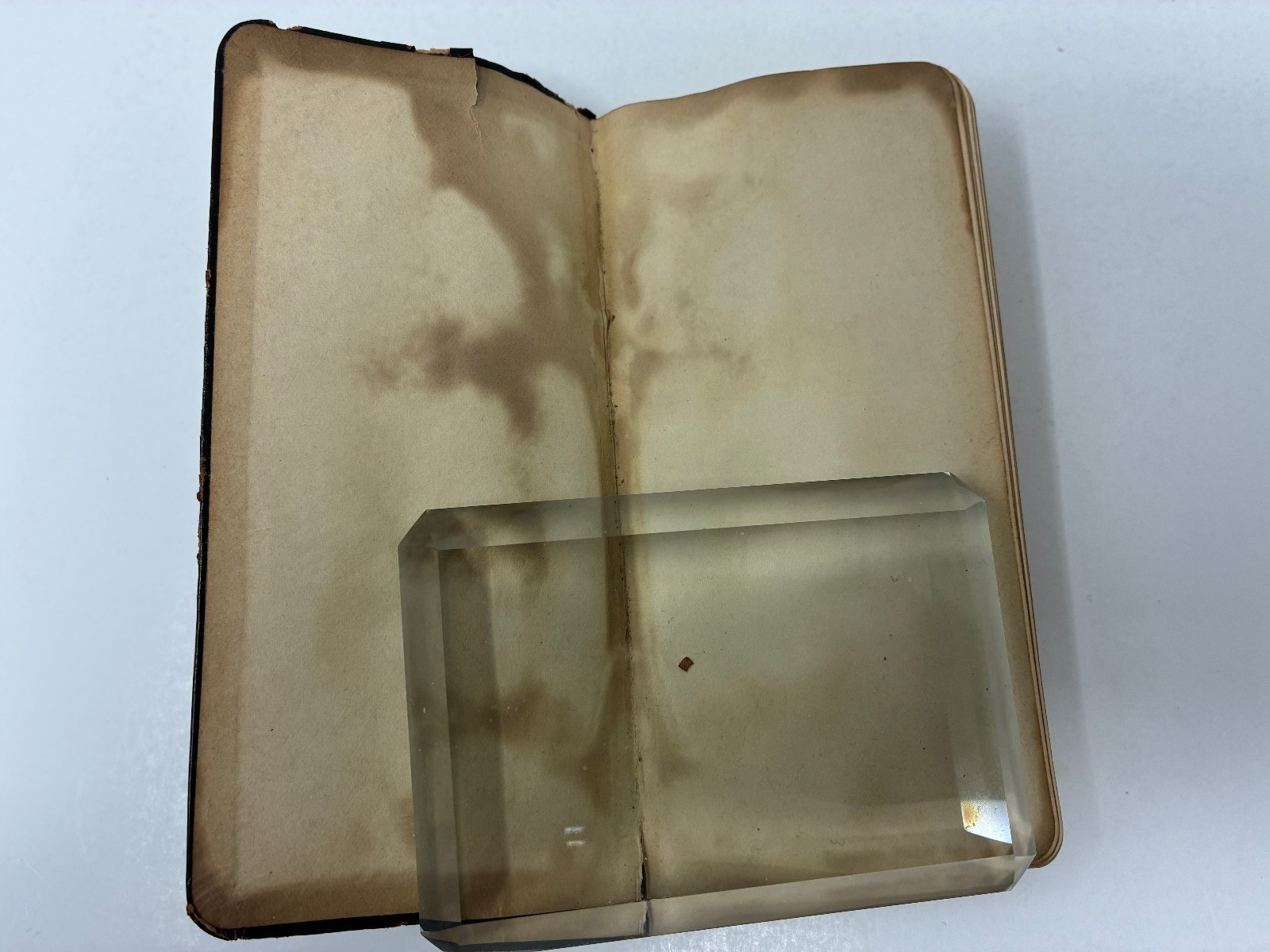 1900 Victorian Woman Wife & Mother Handwritten Diary with Her Life Memorial!