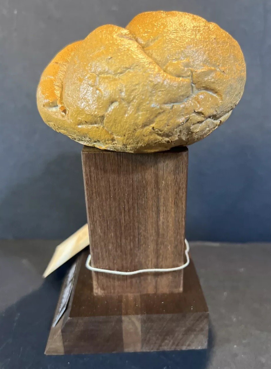 Vintage 80s Novelty Gift “Role Model” Trophy Faux Food Roll by Visual Puns