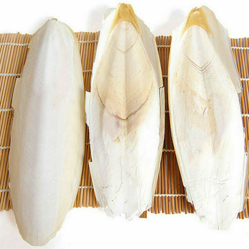 10/20X 2.4-3.1" Cuttlebone for Birds Parrot Chewing Cuttle Bone for Sharp Beaks·