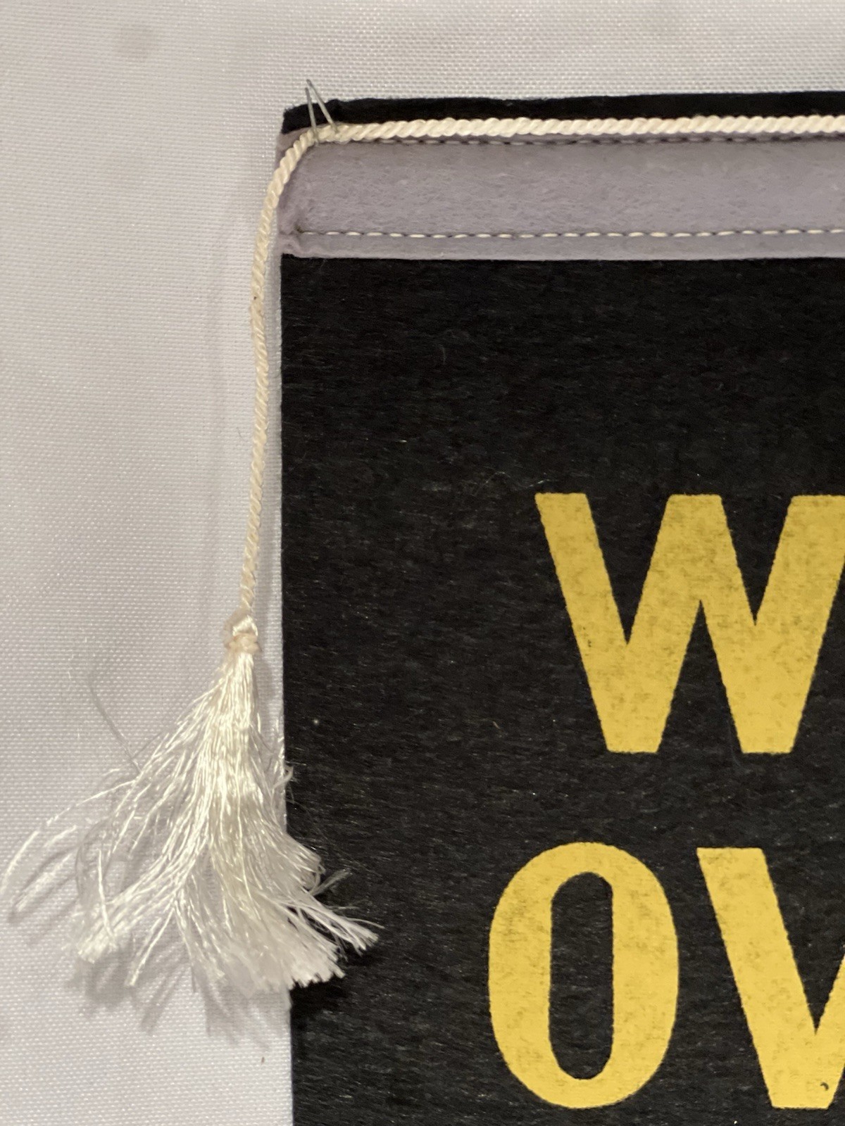 VINTAGE Early 1960s Martin King Luther Civil Rights Large Memorial Felt Banner!!