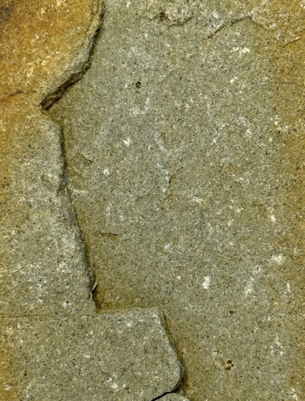 Native American Indian Authentic Artifact Stone Carved Effigy, 2 lb 12 oz • VA