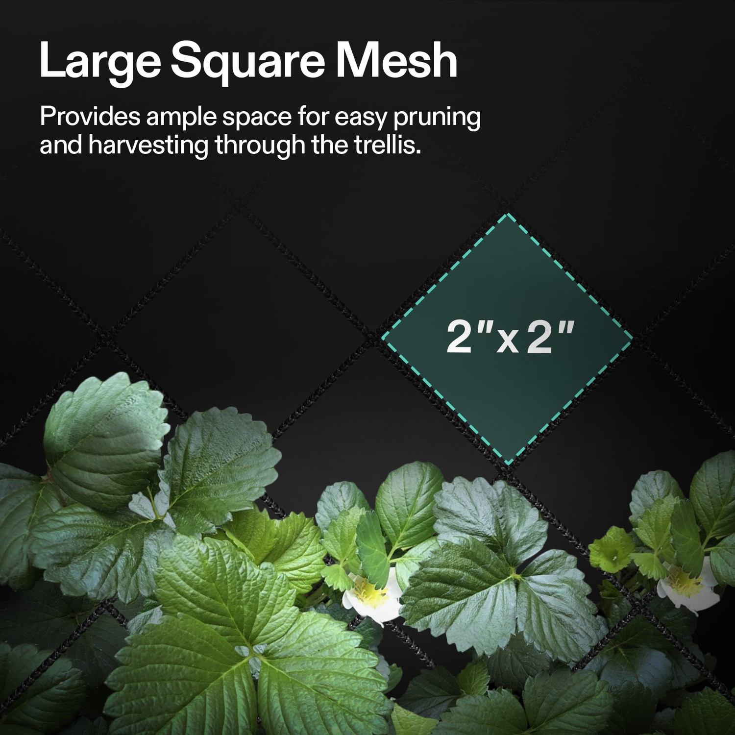 VIVOSUN VGrow Smart Grow Box Tent Kit Accessories New Free Shipping