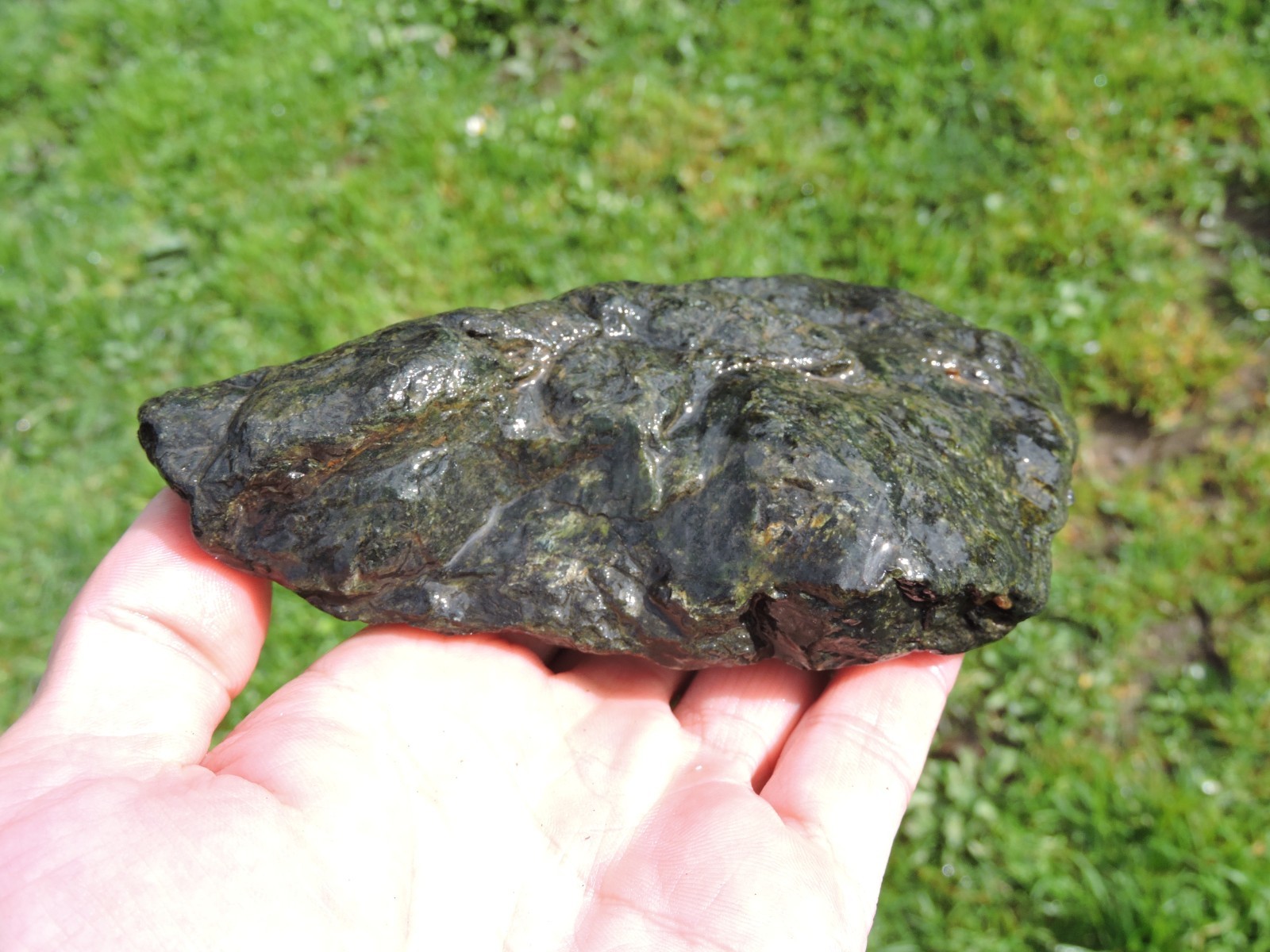 OREGON DARK GREEN SERPENTINE Rough Stones. *MAGNETIC* 100% Natural (8 lb)