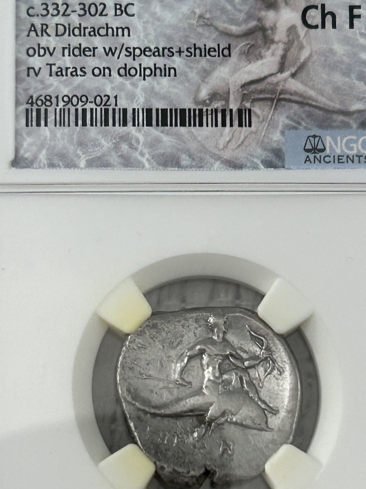 CALABRIA, TARAS c.332-302 BC AR Didrachm 7.91g Horseman and Dolphin NGC  Ch F