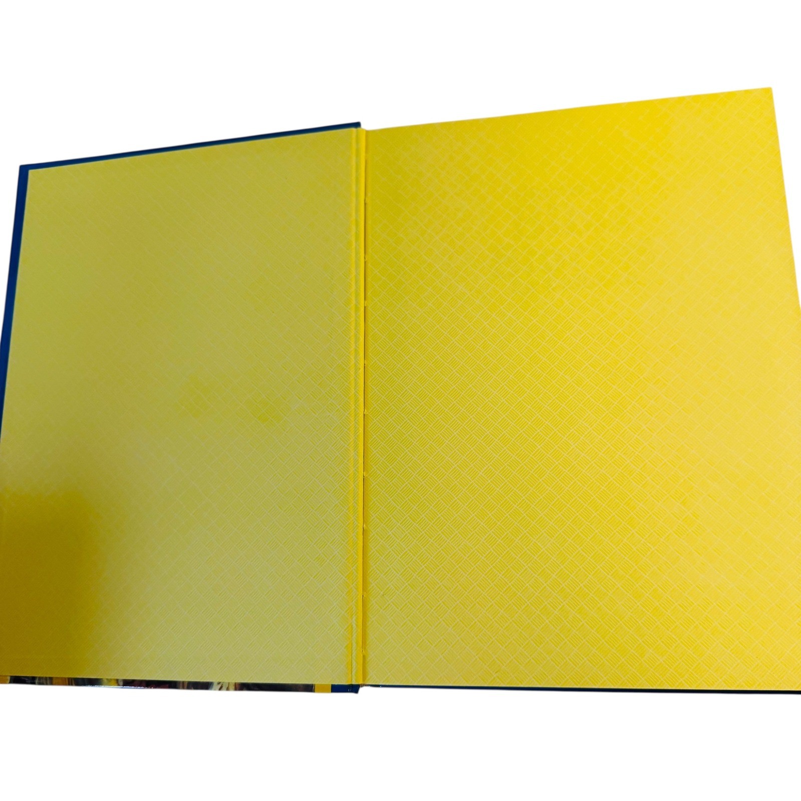 Illustrated Bible Stories for Children Hardcover Book and 2 Audio Cassettes