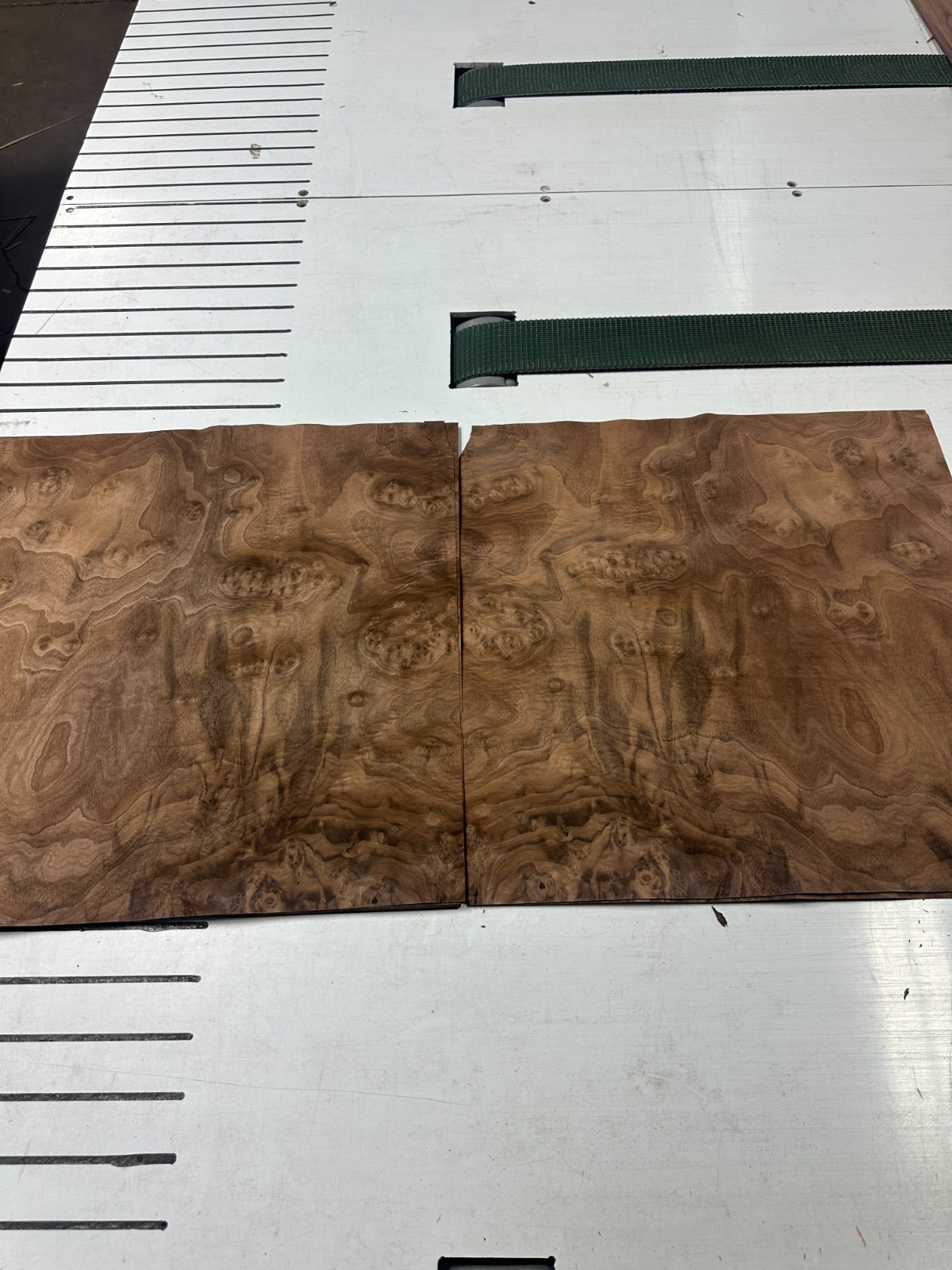 Walnut Burl Raw Wood Veneer 2 sheets 25'' x 23'' 916R