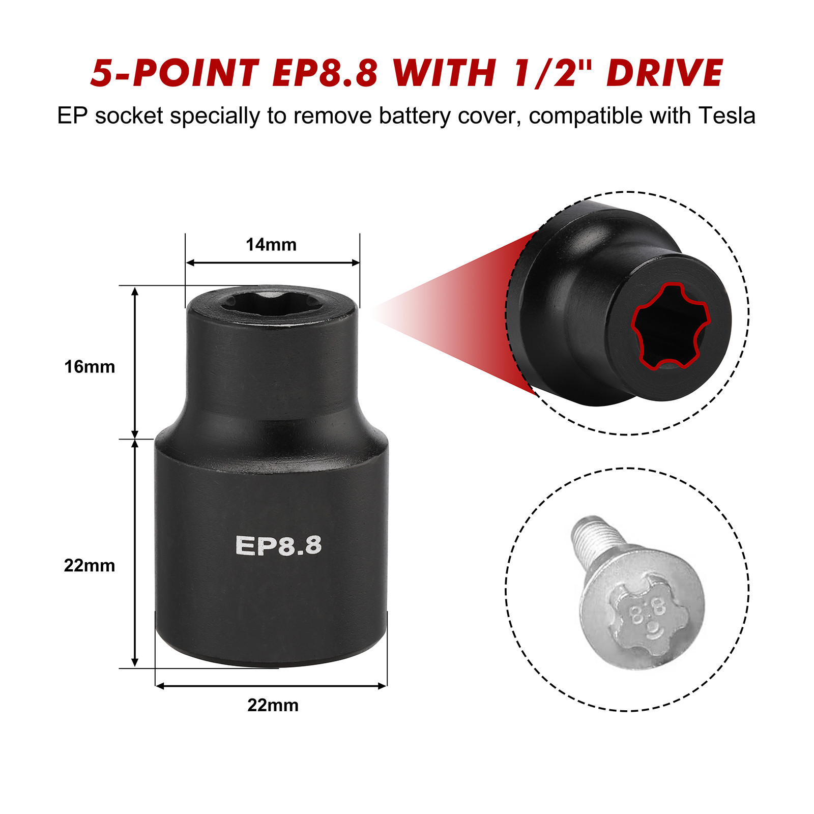 19PCS External Torx Plus Socket Set 6 Point EP Socket EP4-EP32 5 Point 1/2'' Dr