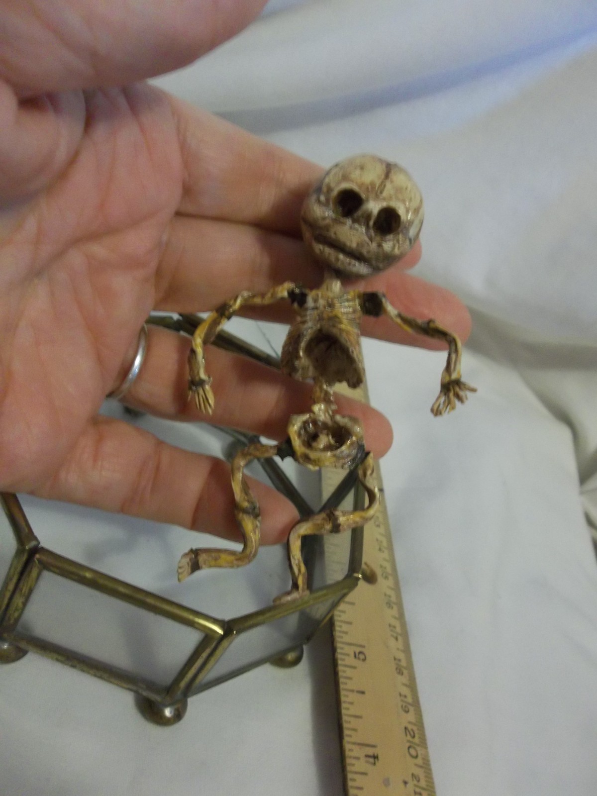 12 Week Fetus/Fetal Skeleton Curvature of Limbs Oddity Curiosity Sideshow Gaff