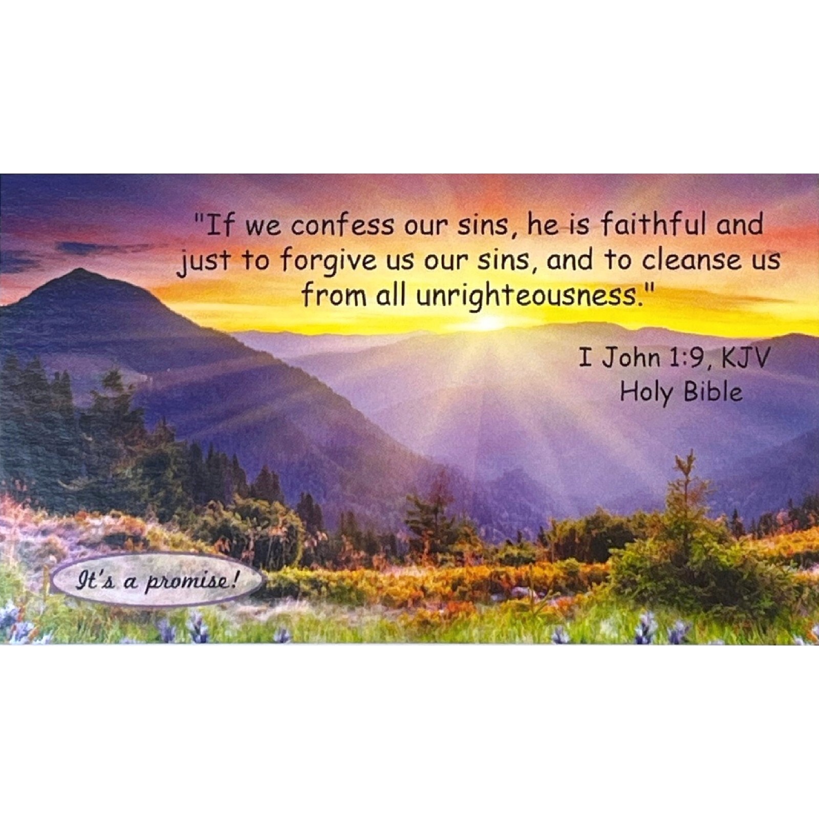 A Sinner's Prayer Pocket Prayer Cards, Gospel Tracts, Purple Mts, 50 or 100x