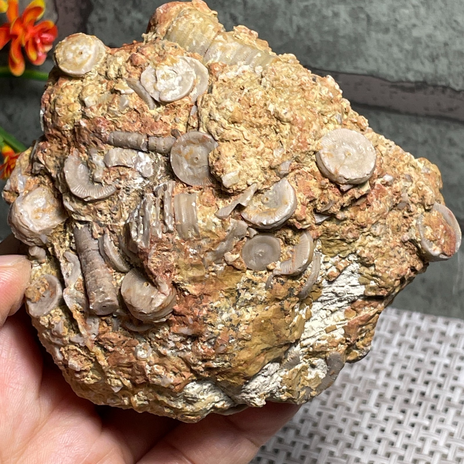 raw lily stone Madagascar - viewing Home decoration 367g A38