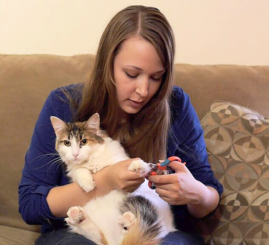 Zen Clipper® - NEW - FREE SHIPPING