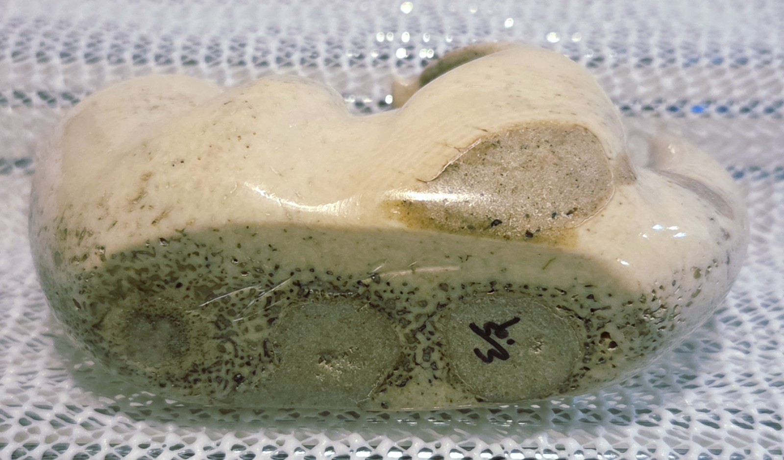 Artist Eddie Lee Alaskan Soapstone Sculpture Playful Sea Otter ~ Signed