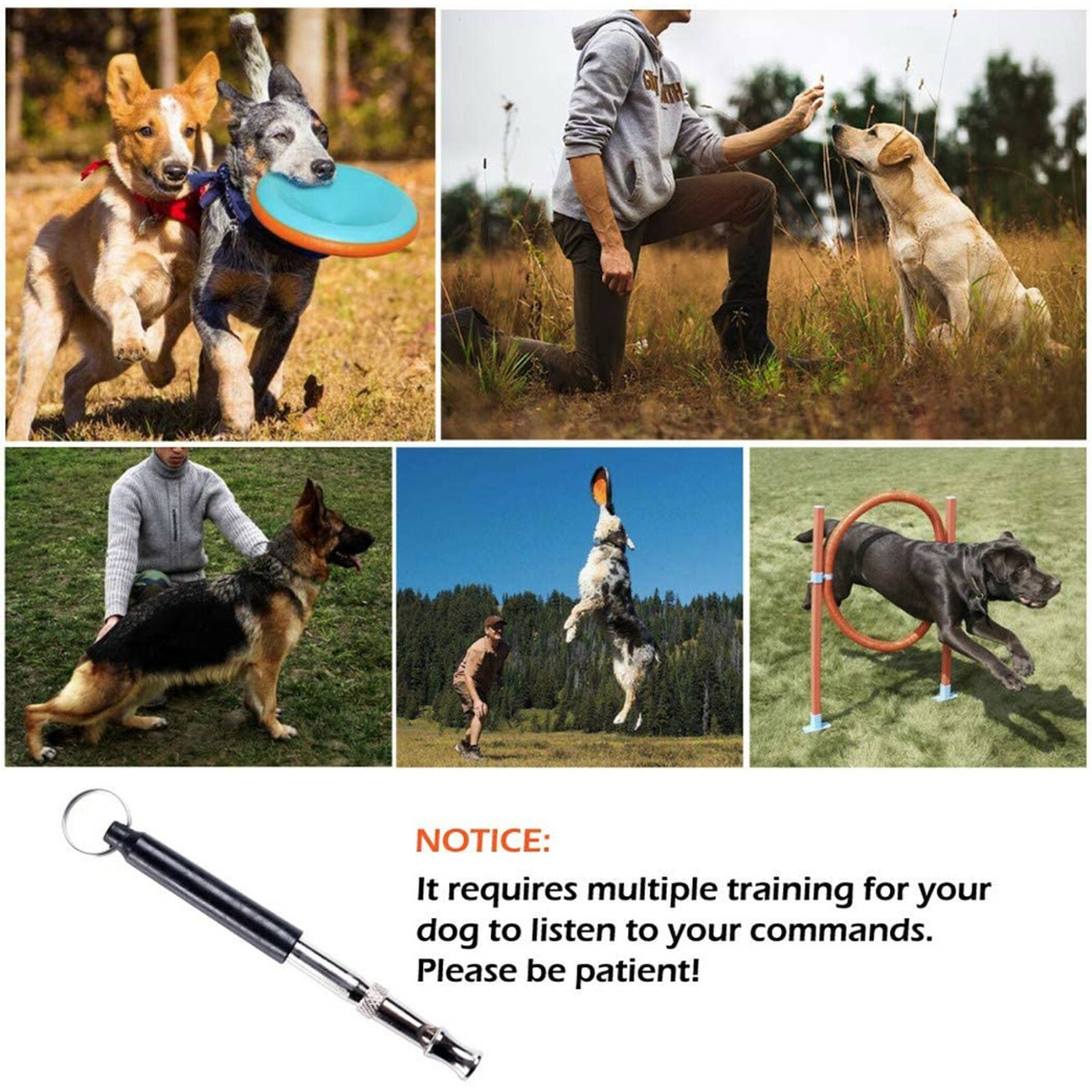 2pc Dog Training WHISTLE UltraSonic Obedience Stop Barking Pet Sound Pitch Black