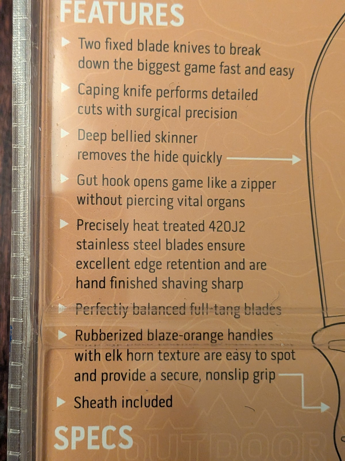 NEW Outdoor Edge Wild-Pair Gut-Hook Skinner & Caping Knife w/ Nylon Sheath WR-1C