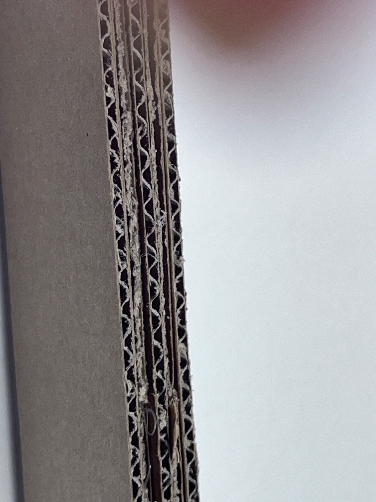 INSTANT MEDIEVAL WARRIOR HAPPINESS FOR SALE L@@@K and BUY IT TODAY