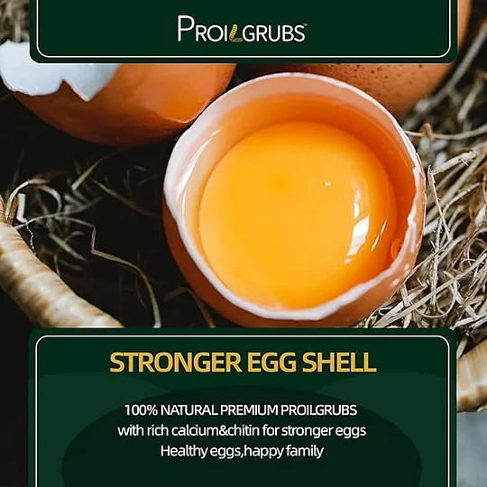 PROILGRUBS 10 LBS Non-GMO Dried Black Soldier Fly Larvae for Chickens,Birds