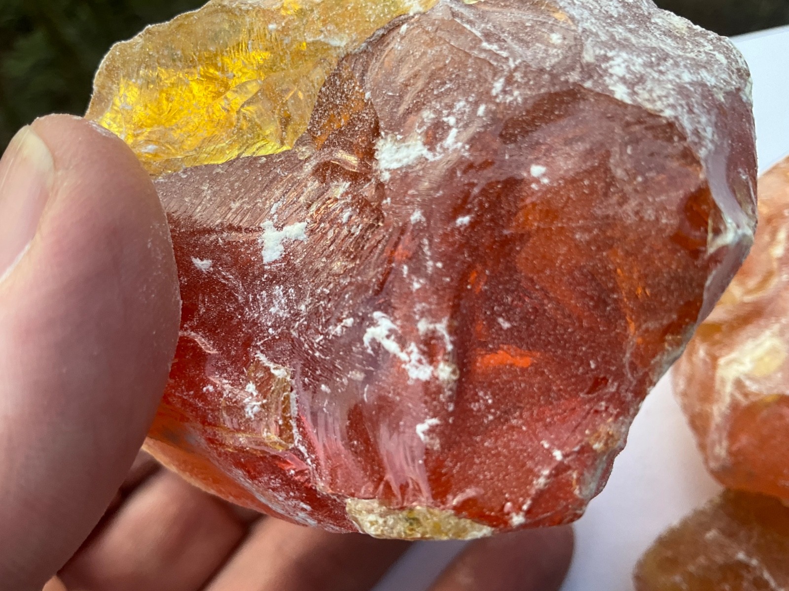 Pinyon Pine Pitch Glue Resin Rosin Amber Native American Crafts, sold by ounce