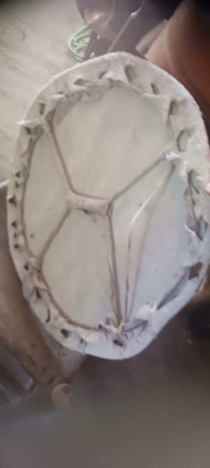 ** AWESOME NATIVE AMERICAN WALL ART PAINTED BISON SHIELD DISPLAYS BEAUTIFUL**