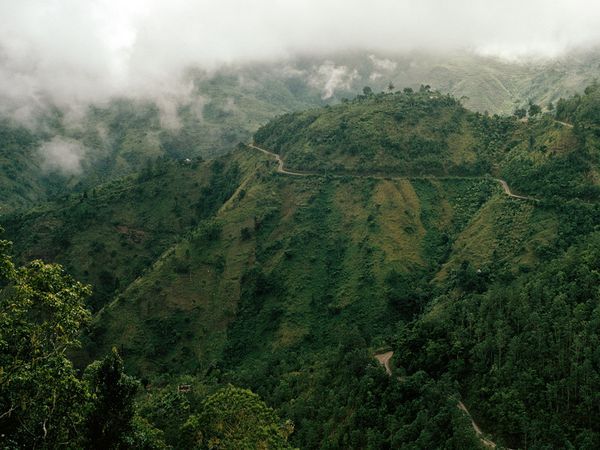 100% HAWAIIAN KONA PEABERRY COFFEE BEANS MEDIUM ROASTED 2 / 12LBS - 1 POUND BAGS