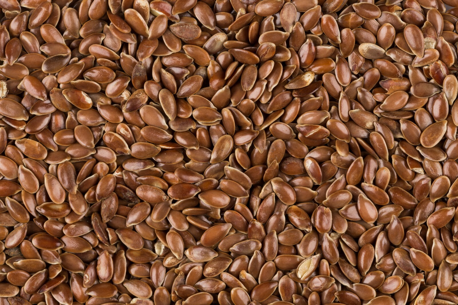 Brown Flax Seeds Whole Grain Seed Flaxseed NON GMO Linseed 1 oz to 20 lbs. Bulk