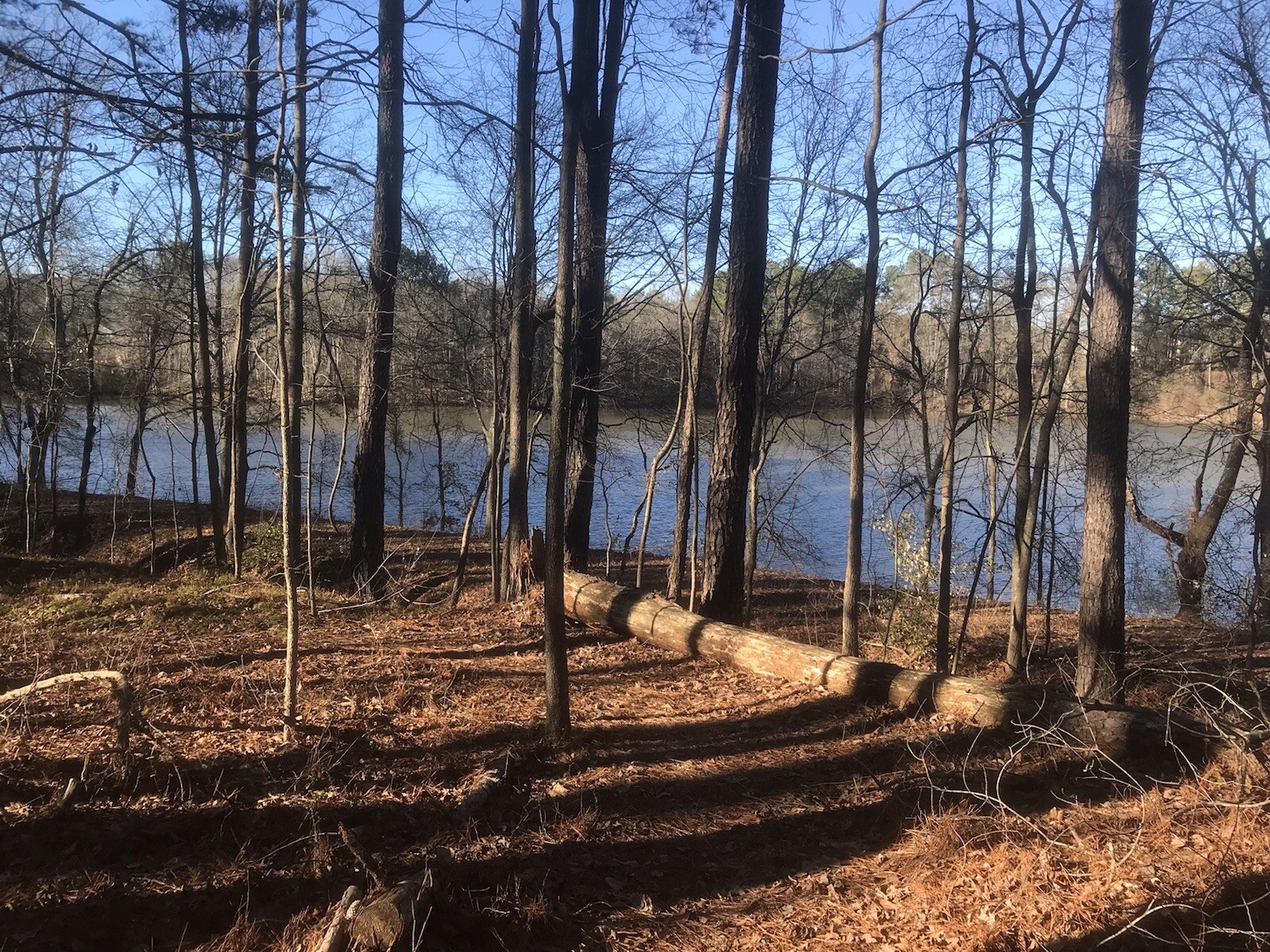 7 lbs Georgia Fatwood Natural Fire Starter Kindling. THE BEST!