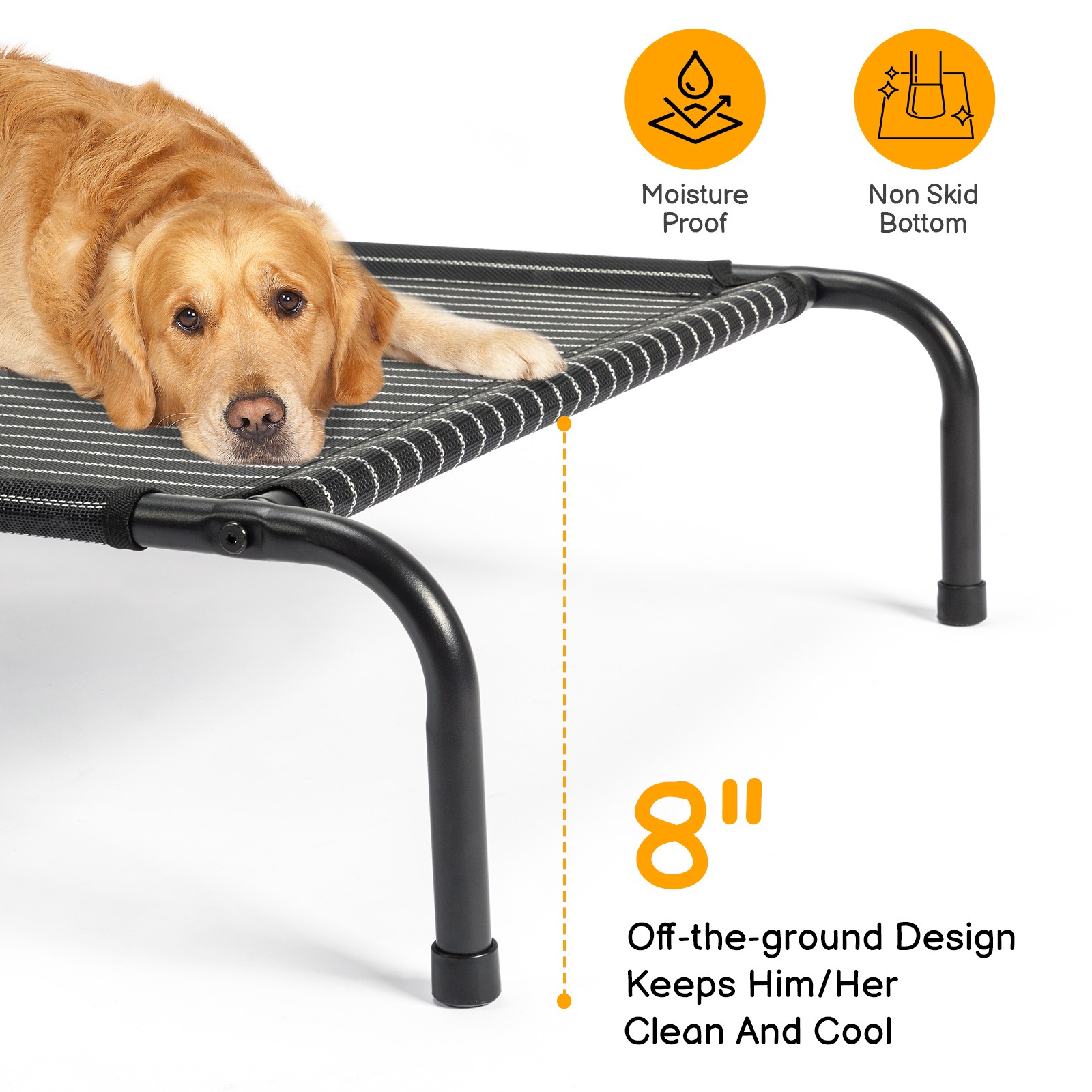 Portable In/Outdoor Pet Cot 50" Cooling Elevated Dog Bed with Metal Frame Raised