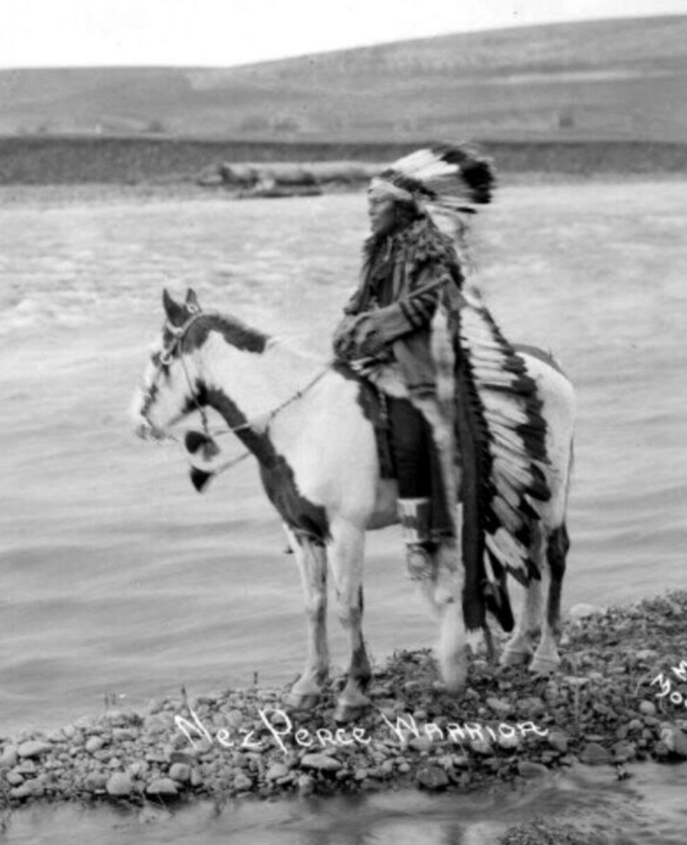 Nez Perce, Columbia River Plateau (Idaho) Warrior's War Club....19th century.