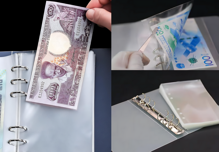 100 Pockets Dollar Bill Holders with Storage Album SleevesProtector Bag for Bill