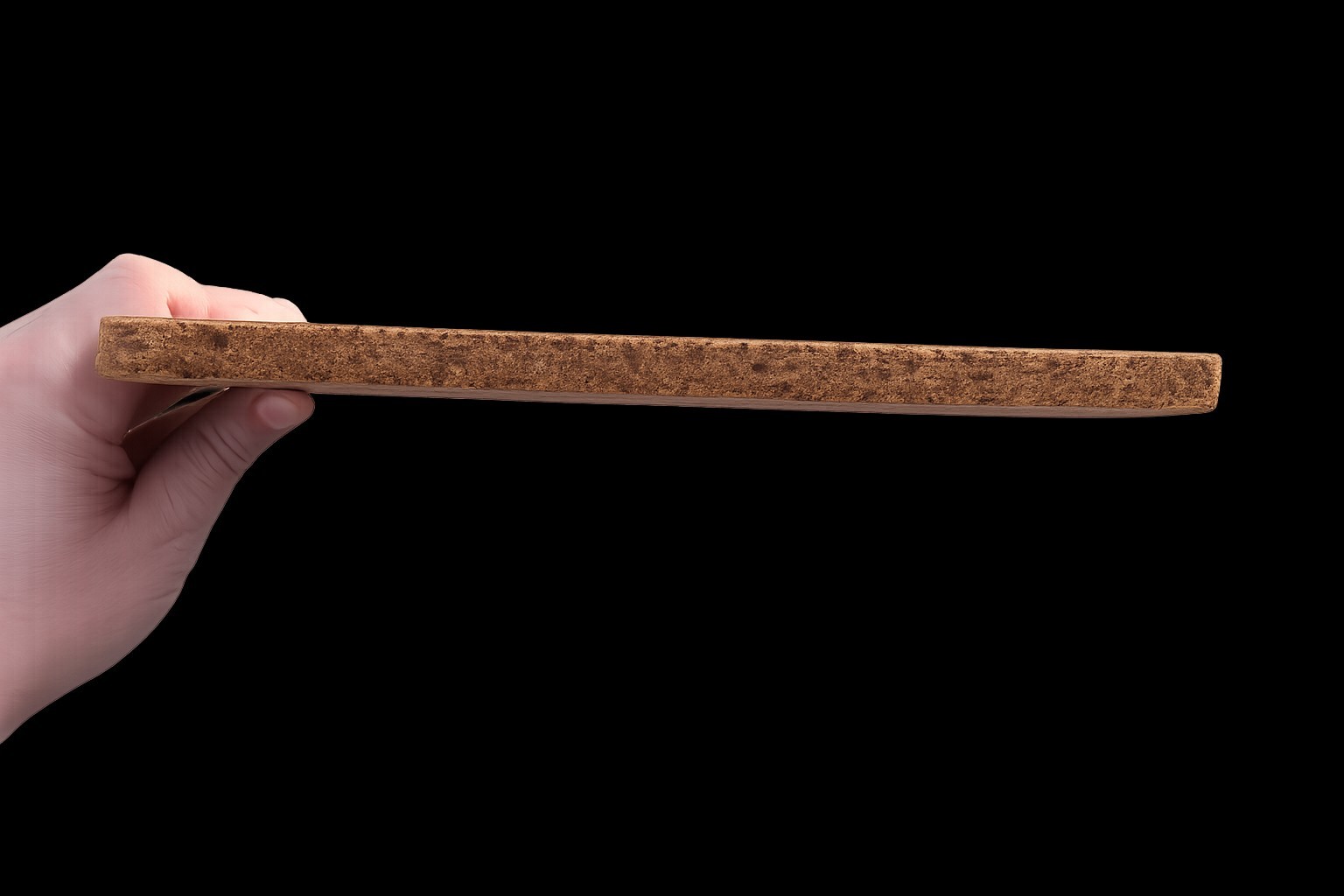 Vintage Ringling Bros Circus 1909 Menagerie Poster Cork Back Plaque Wall Art