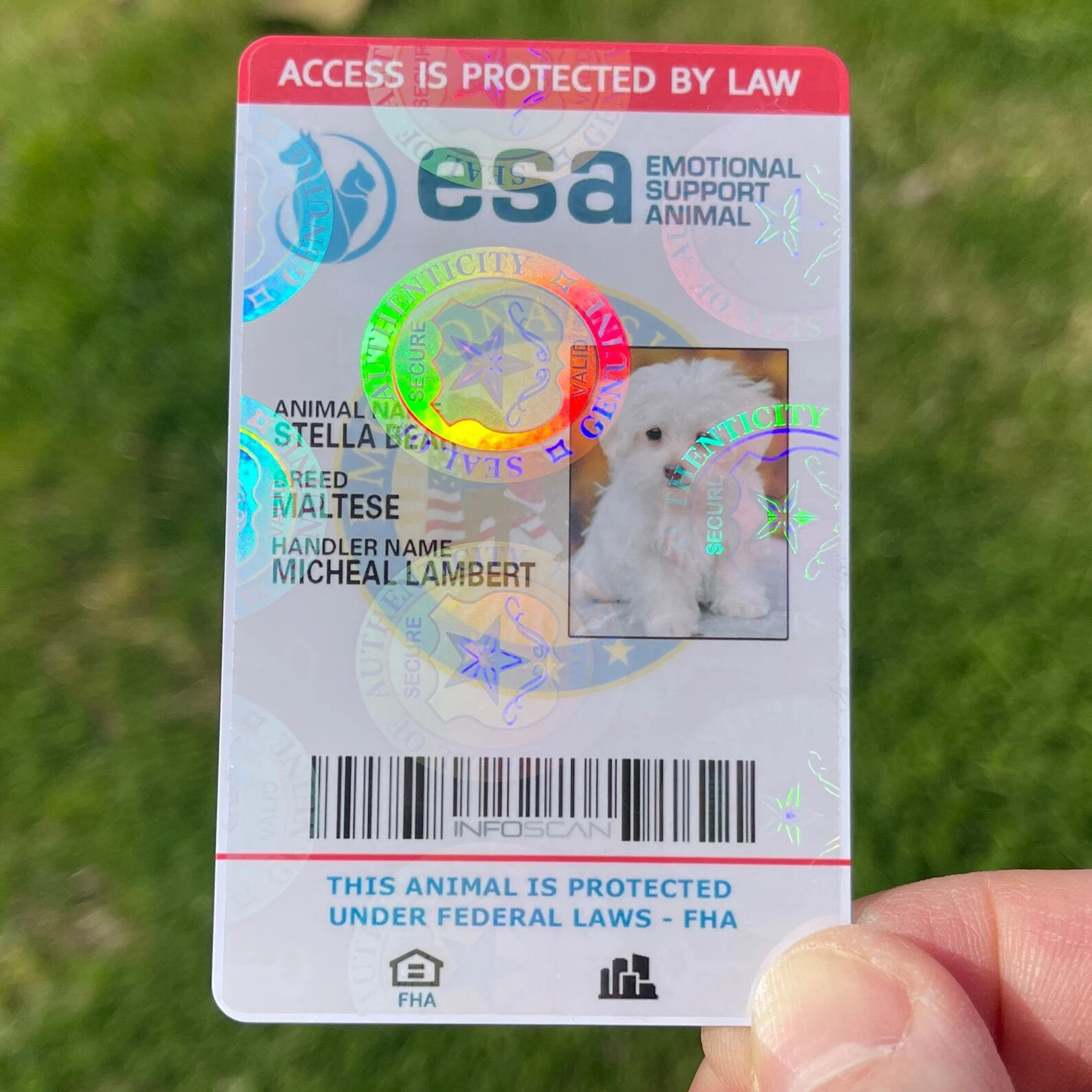 ESA ID CARD FOR EMOTIONAL SUPPORT DOG / CAT ANIMAL / SERVICE DOG - HOLOGRAPHIC