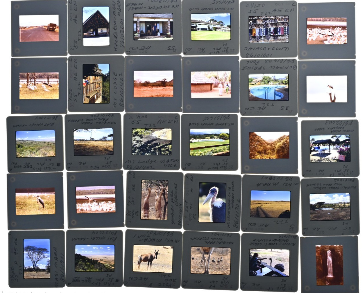 Vintage 1986 Kenya Safari Slides 120 Lot Wildlife Tribal Photo