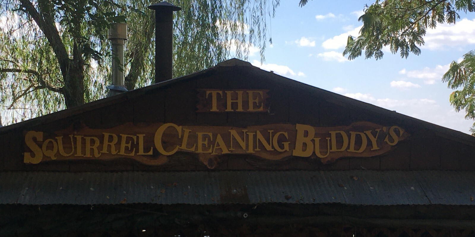 Squirrel Cleaning Buddy