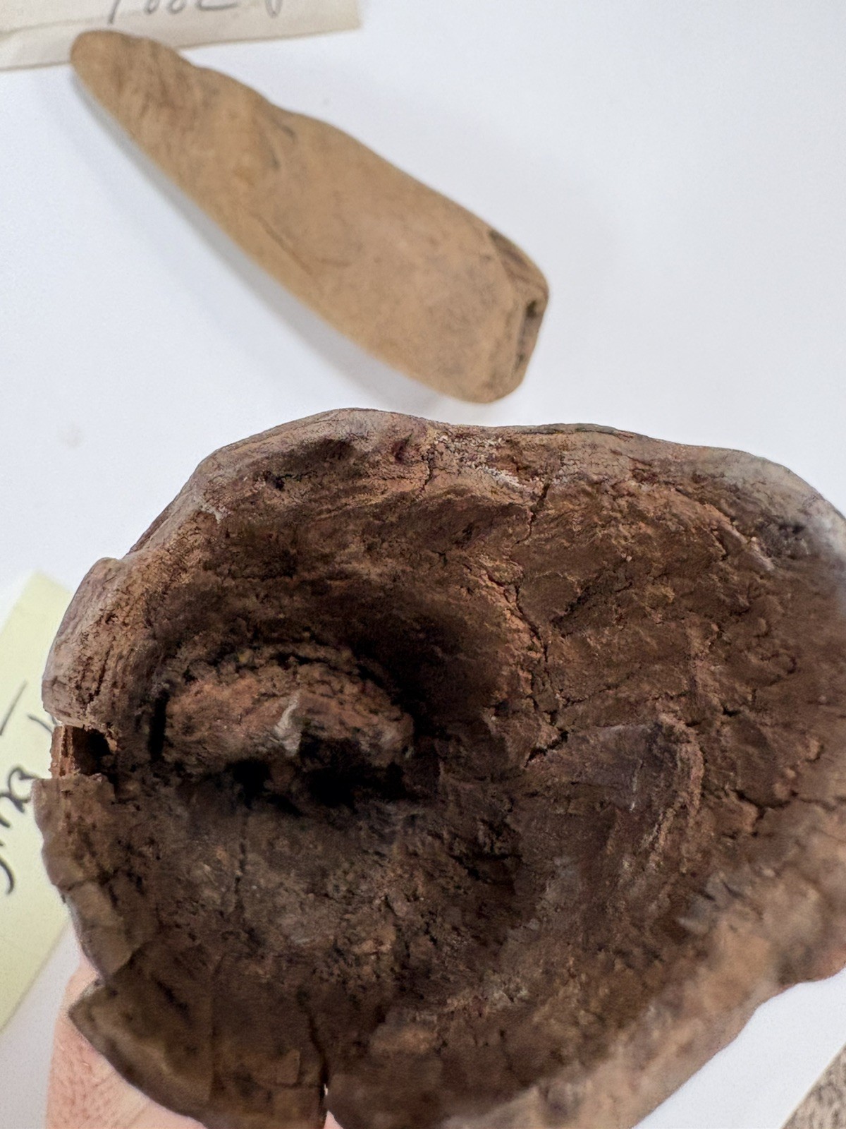 Native American Wooden Tools ? Digging and Planting ? Wood Artifact Antique