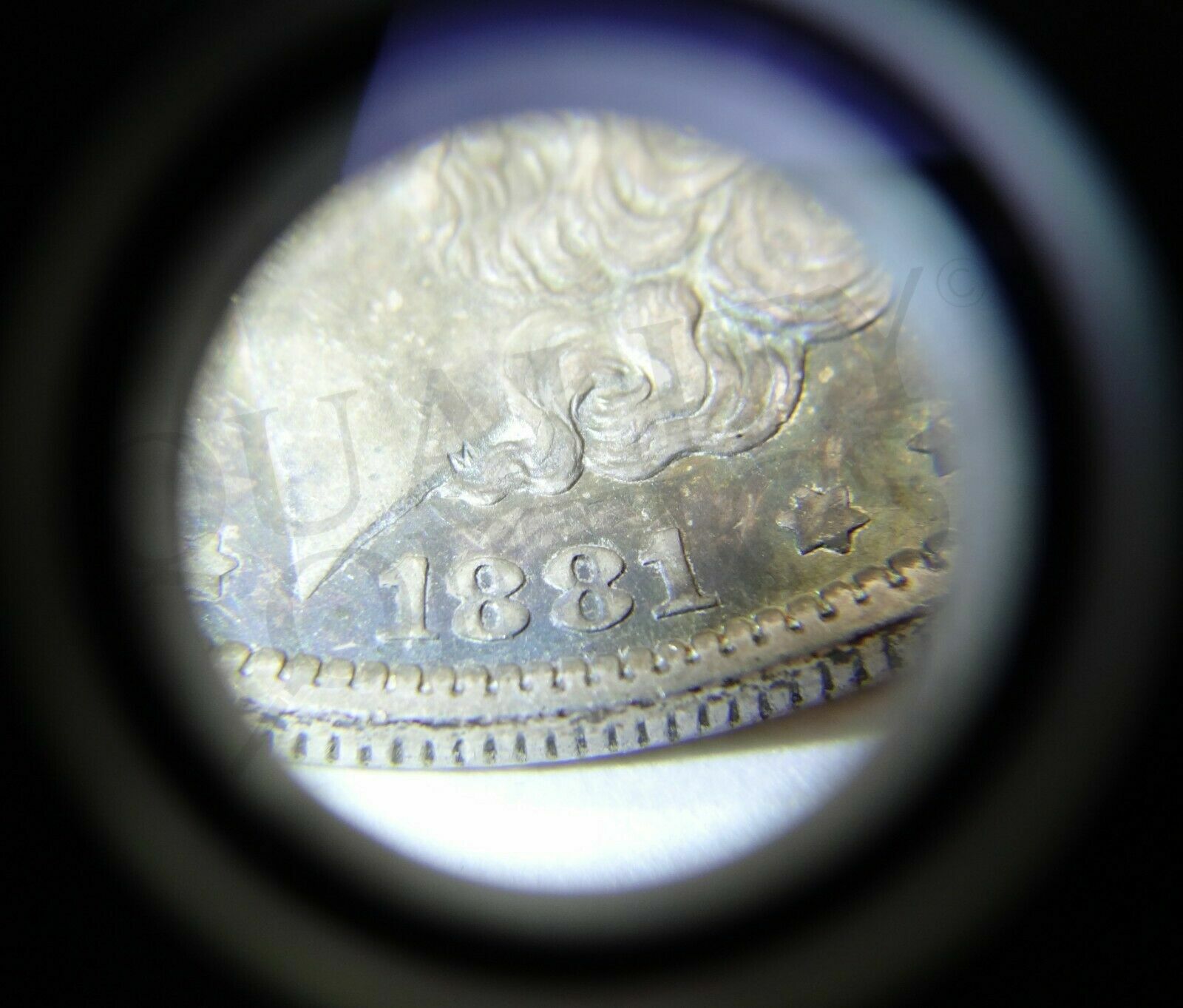 Quality Optics® USA Easy Grip Series Illuminated Hand Magnifier 20X LED