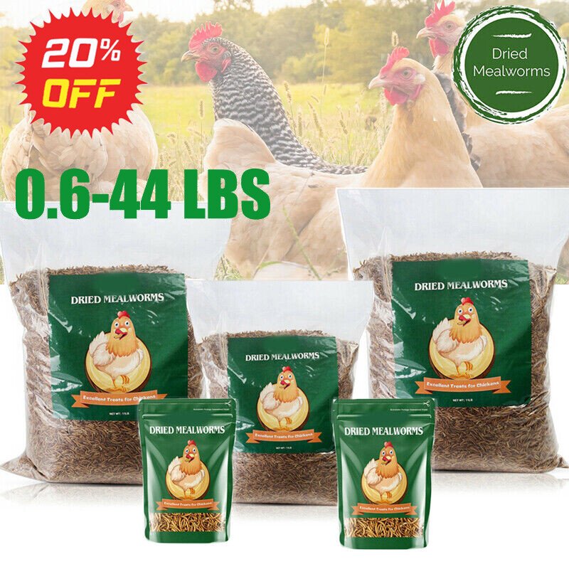 LOT Dried Mealworms Non-GMO Fit Wild Birds Chickens Hen Fish Reptile 0.6-44 LBS