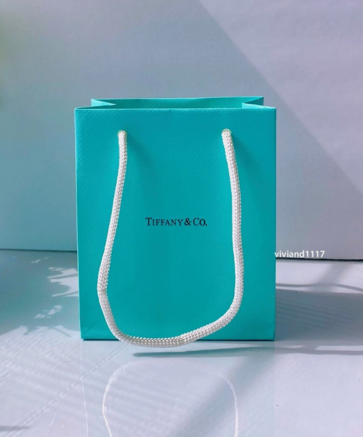 Tiffany & Co. Packaging Empty Signature Blue Gift  paper Bag