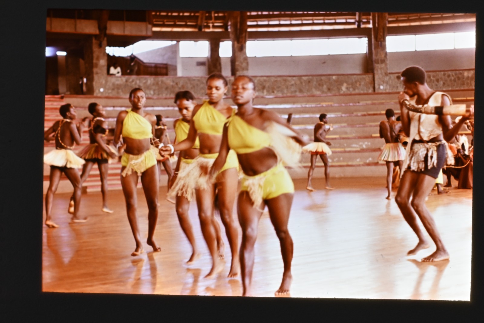 Vintage 1986 Kenya Safari Slides 120 Lot Wildlife Tribal Photo