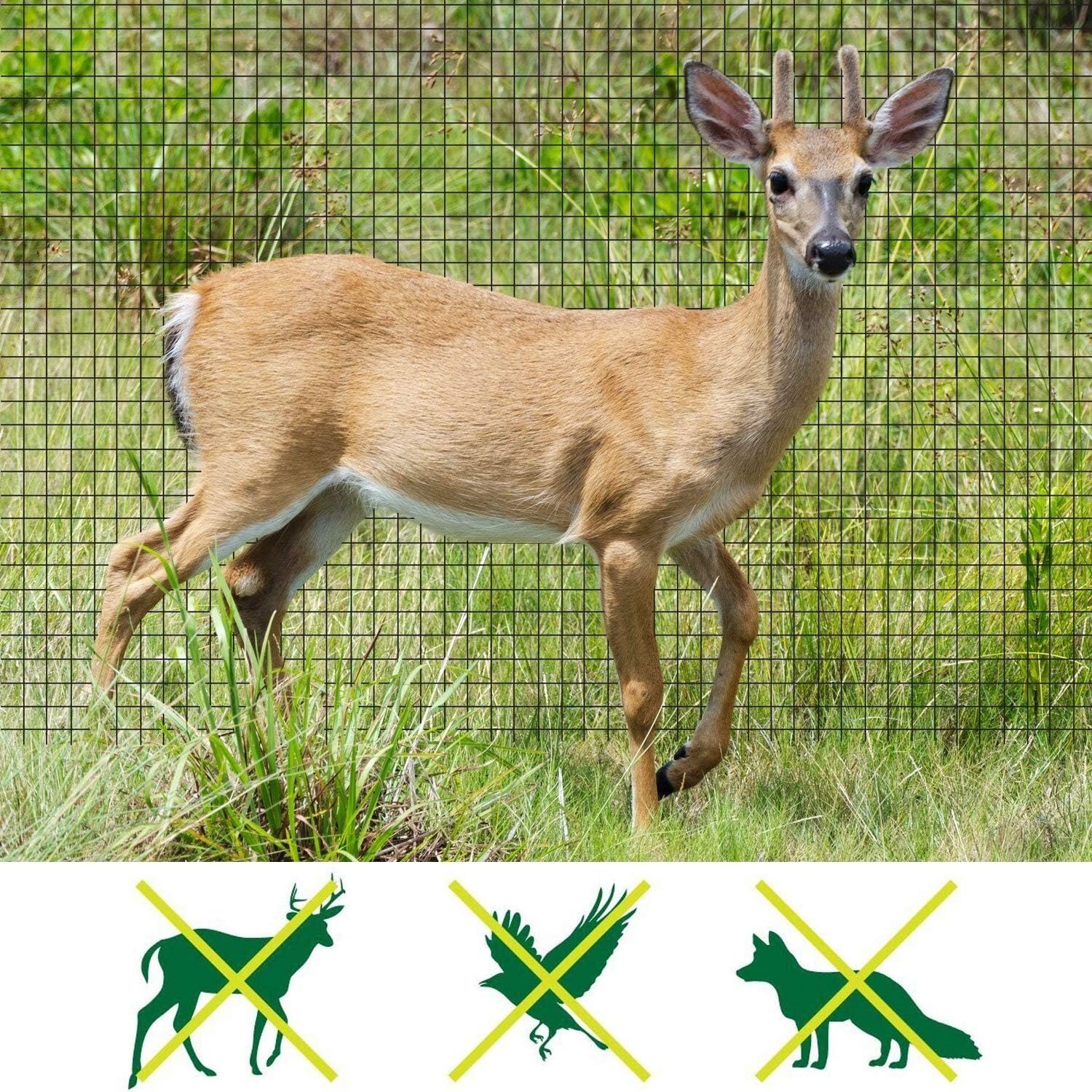 Garden Fence Landscape Deer Fencing Animal Protects Strong Netting 7x100 Borders