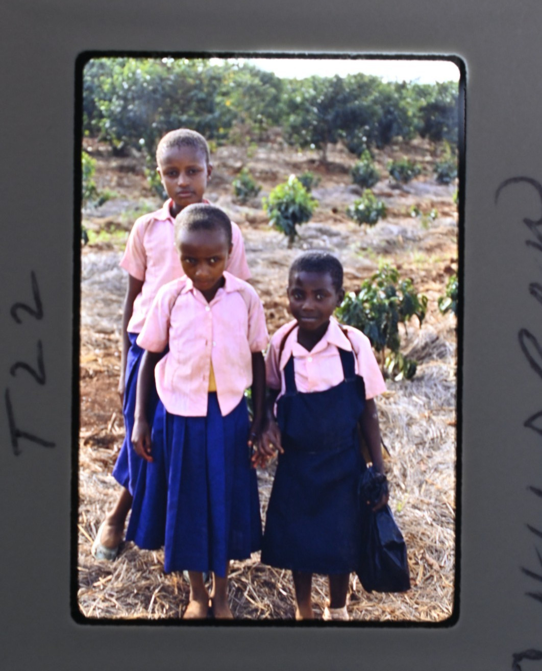 Vintage 1986 Kenya Safari Slides 120 Lot Wildlife Tribal Photo