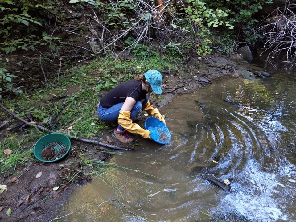 Republic Mining Prospectors Association Membership. Access to 18 Mining Claims.