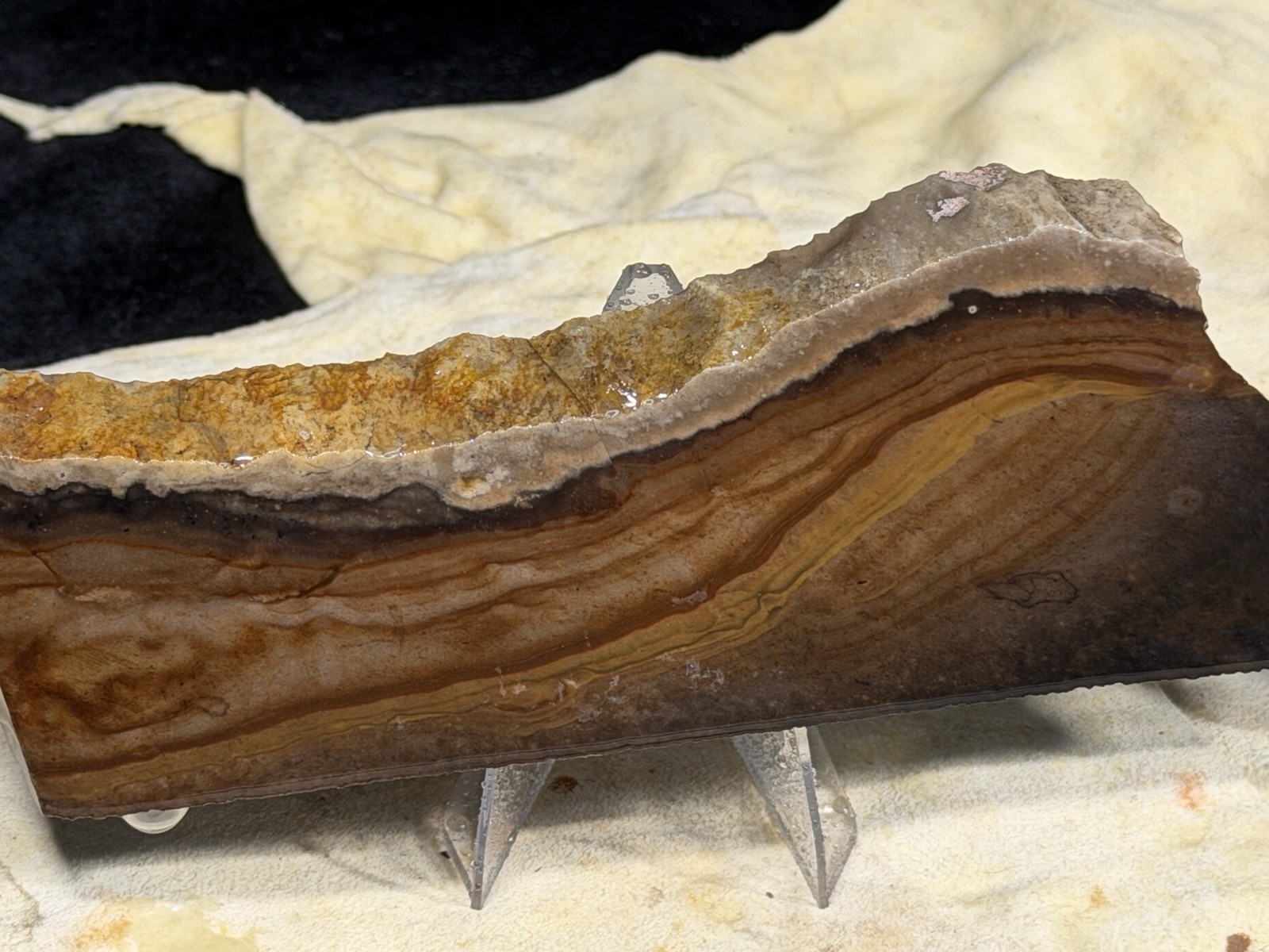 Dendritic Biggs Jasper Slab Set, Lot #307