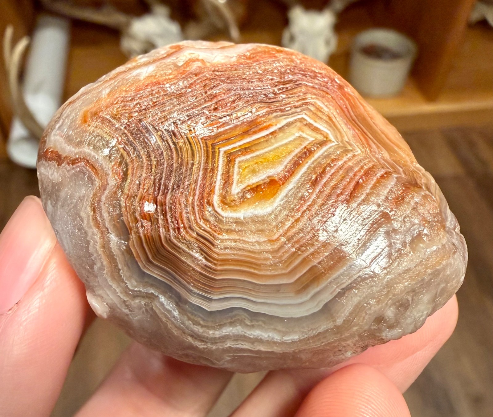 4.55oz LAKE SUPERIOR AGATE 2 GREAT FIRE & ICE COLORED BANDED FACES NEAT