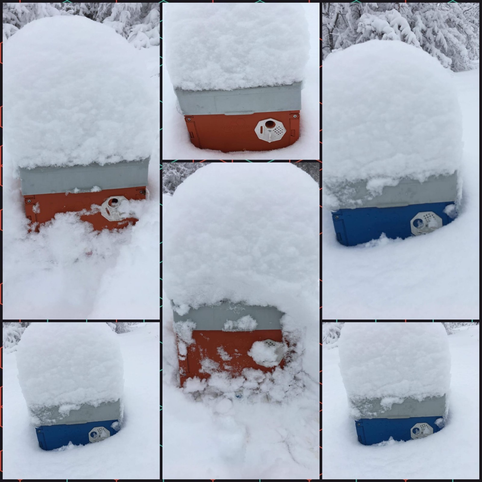 XPS Insulated Mating Nuc 6 Half Langstroth Frames Queen Rearing Perfection