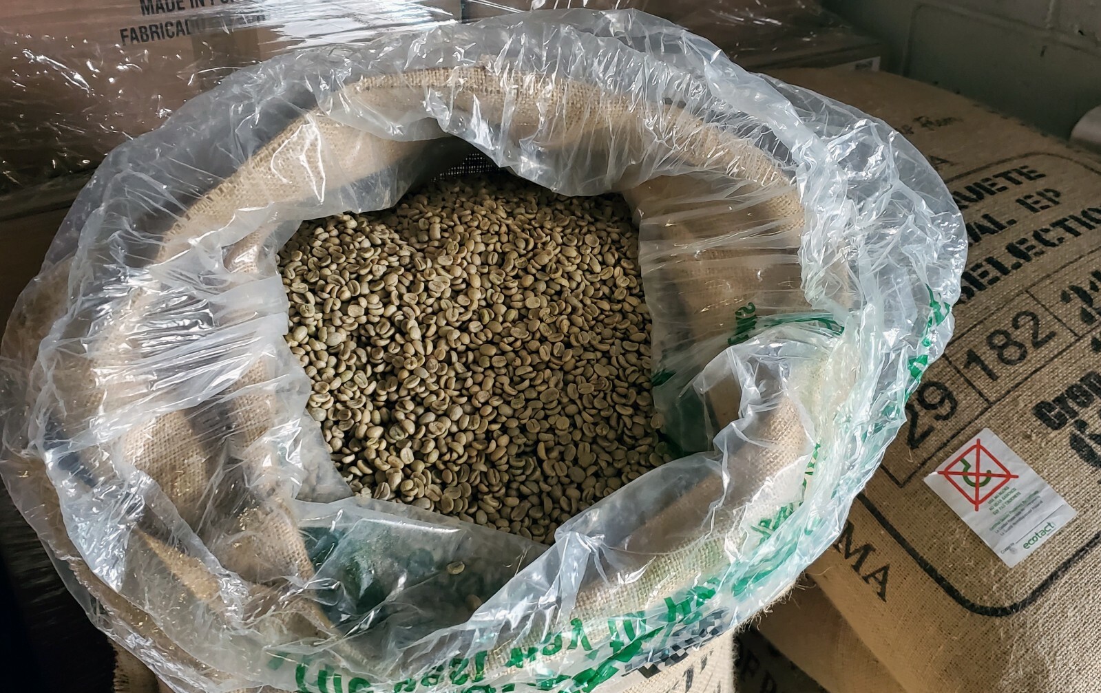 5 LBS PANAMA BOQUETE GREEN UNROASTED COFFEE BEANS - ARABICA